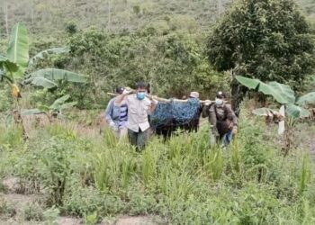 37 Orangutan Berhasil Diselamatkan BKSDA Kaltim sepanjang Awal 2025