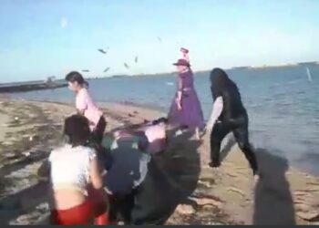 Pulau Beras Basah Masih Tutup, tapi Rombongan Istri Ketua Partai Kok Bebas Masuk?