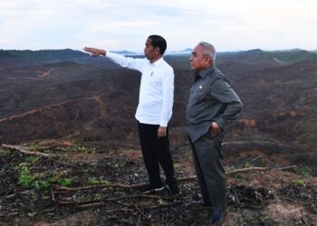 Waspada Modus Penipuan Pengadaan Lahan IKN!