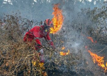 Kutim Siaga Karhutla, Tiga Kecamatan Masuk Zona Merah Musim Kemarau 2025 Waspada! 27 Titik Panas Tersebar di Kaltim, Terbanyak Kutai Timur Titik Panas di Kaltim Turun Drastis jadi 78 Titik 125 Titik Panas Terdeteksi di Kalimantan Timur BMKG Deteksi 40 Titik Panas di Kutai Kartanegara