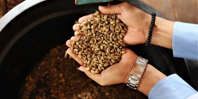 KOPI LIBERIKA2