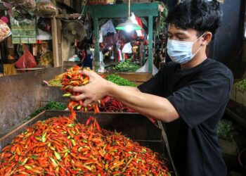 Cuaca Ekstrem Bikin Harga Cabai Melambung