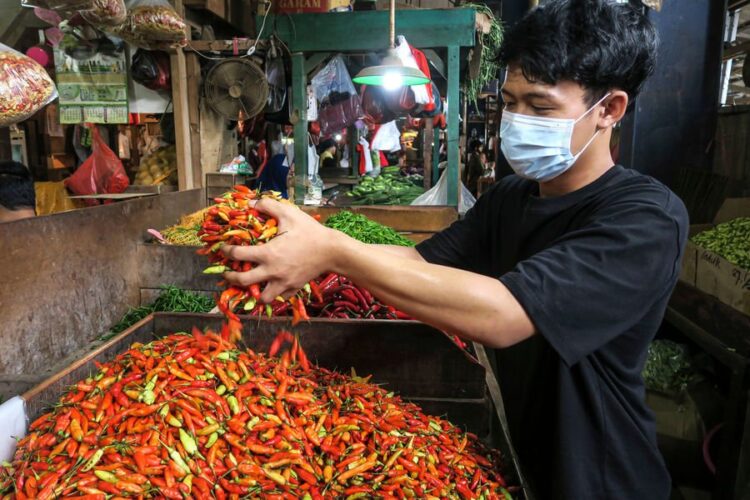 Cuaca Ekstrem Bikin Harga Cabai Melambung