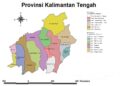 21 Ribu Hektare Lahan Kalteng Terancam Beralih ke Kaltim