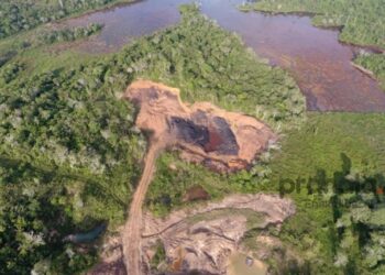 Optimalisasi Lahan Bekas Tambang, Kaltim Gaet Stakeholder Demi Ketahanan Pangan