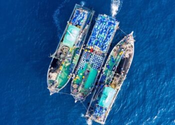 5 Rekomendasi Film Dokumenter tentang Lingkungan