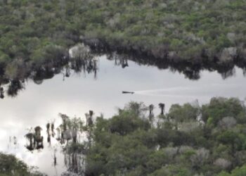 FOTO: Danau Purba di Jantung Kalimantan
