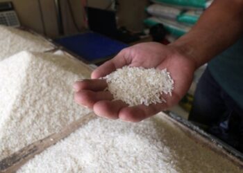 Setiap Warga Balikpapan Konsumsi Beras 95 Kg Setahun