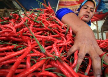 Daya Beli Masyarakat Kaltim Masih Kuat