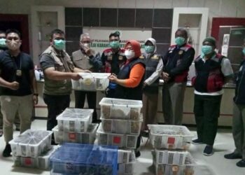 359 Ekor Burung Gagal Diselundupkan