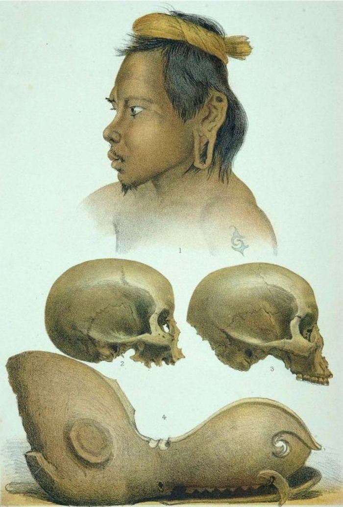 Orang Boentoet Legenda Manusia Berekor di Pedalaman Borneo1