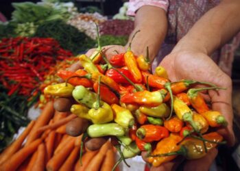 Harga Cabai Rawit di Bontang Tembus Rp60 Ribu per Kilogram