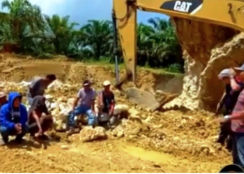 Penambang Galian C Ilegal di Hutan Lindung Bontang Ditangkap