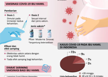 INFOGRAFIS: Vaksinasi COVID-19 untuk Ibu Hamil