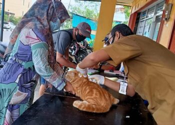 3 Ribu Dosis Vaksin Sasar Hewan Peliharaan Warga Bontang
