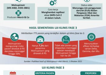 INFOGRAFIS: Menanti Hasil Uji Molnupiravir sebagai Obat Covid-19