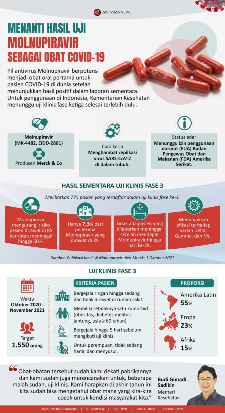 INFOGRAFIS: Menanti Hasil Uji Molnupiravir sebagai Obat Covid-19