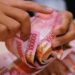 Penyesuaian Upah Minimum Harus Sesuai PP Pengupahan Baru