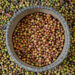 Liberika Kayong, Varietas Kopi Pertama Pulau Kalimantan