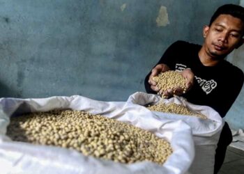 Dua Pendorong Bisnis Logistik Kaltim Bergeliat