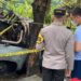 Pengendara Mobil yang Sebabkan Kebakaran Diamankan Polisi