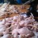 Harga Daging Ayam di Balikpapan Tak Wajar