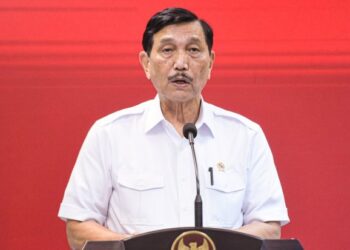 Luhut: Beli Minyak Goreng Rp 14 Ribu Pakai PeduliLindungi atau NIK