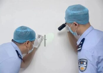 Aksi Pencurian Misterius Terungkap usai Jejak Darah Pelaku `Tersedot` Nyamuk Mati di TKP