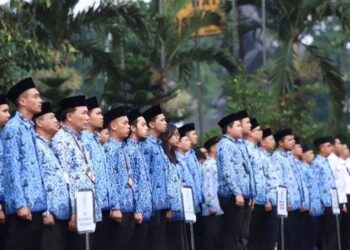 Berikut Nama Lolos Seleksi Administrasi CPNS Bontang 2024, Cek di Sini! Berikut Daftar Honorer yang Tak Masuk Pendataan Non-PNS