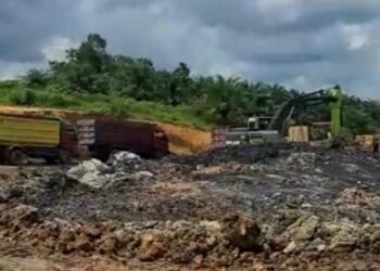 Parah! Ada Aktivitas Tambang Ilegal di Kawasan Konservasi Orang Utan