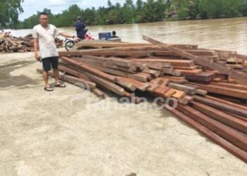 Bongkar Praktik Praktik Illegal Logging, Ratusan Batang Ulin Disita di Pelabuhan Paser
