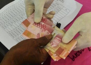 Ada BLT UMKM Rp1,2 Juta! Cek Namamu di eform.bri.co.id/bpum