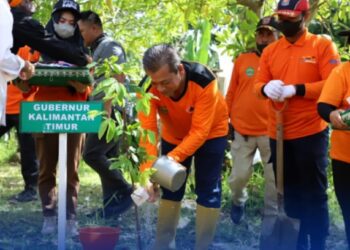 770 Bibit Pohon Ditanam untuk Mitigasi Bencana
