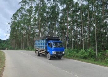 Adanya IKN, Truk Terguling Mulai Nihil