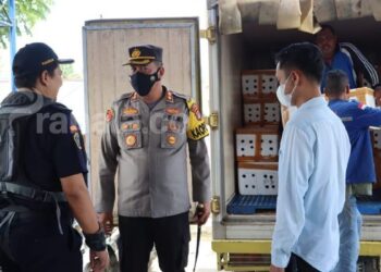 2 Ton Kepiting Gagal Diselundupkan, Sopir Truk Ditahan, Polisi Kejar 3 Pelaku Lainnya