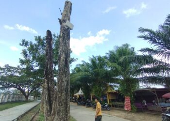 Jaringannya Lelet, WiFi Gratis Pemkot Bontang Dikeluhkan