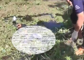 Pemuda di Samarinda Tergeletak Tewas bersama Sepeda Motor, Diduga Alami Kecelakaan Tunggal