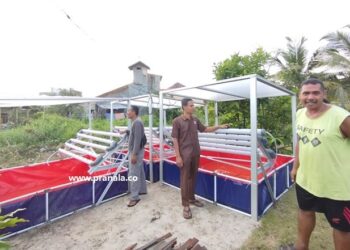 Warga RT 8 Bontang Kuala Bikin Kolam Lele dan Pertanian Hidroponik Buat Kas RT