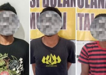 Terdesak Butuh Uang, Tiga Pekerja Nekat Curi 3 Ton Buah Sawit
