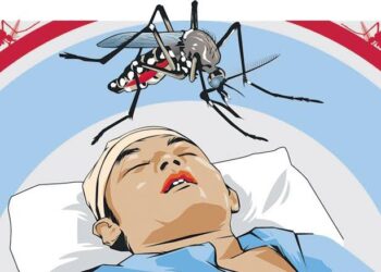 WASPADA! Kasus DBD di Bontang Mulai Naik 207 Kasus Demam Berdarah Teror Warga Bontang selama Satu Semester 39 Warga Kaltim Meninggal karena Demam Berdarah Dengue selama 2022