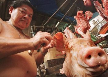 1 Ton Daging Babi Ditolak Masuk Otoritas Balikpapan, Penyebabnya?