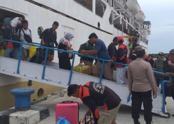 PELNI Bontang Rilis Jadwal Kapal Akhir Februari hingga Awal Maret 2026, Ini Rute dan Waktu Kedatangannya KM Binaiya dan KM Egon Kembali Layani Penumpang dari Bontang, Catat Jadwal dan Rutenya! Jadwal Lengkap Kapal Pelni di Pelabuhan Lok Tuan Bontang selama Arus Mudik dan Balik Lebaran 2025 Tarif Kapal PT Pelni di Pelabuhan Lok Tuan Bontang, Tersedia Rute ke Berbagai Kota PT Pelni Tambah Jadwal KM Binaiya di Pelabuhan Bontang Akhir November, Ini Rutenya! Sebelum Masuk Dok, Keberangkatan Tambahan KM Binaiya Terisi Separuh Lebih Kapasitas Kapal