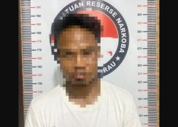 10 Ribu Butir Pil Koplo Dikirim ke Berau via Jasa Ekspedisi