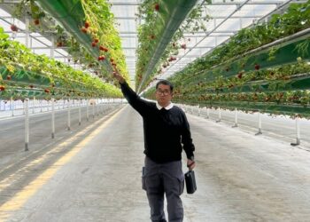 Akmal Malik Belajar Sistem Smart Farming dan Pelayanan Kesehatan Masyarakat di Korea Selatan