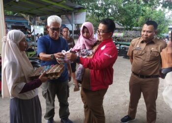 Akmal Malik Sasar Keluarga Berisiko Stunting di Pulau Karampuang