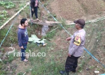 Mempelai Pria di Samarinda Tewas pada Malam Pengantin dengan 7 Luka Tusukan