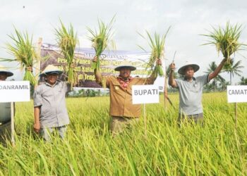 Kaltim Bidik 20 Ribu Hektare Sawah Baru Tahun Ini Stok Beras di Kutai Kartanegara Dipastikan Aman selama Ramadan