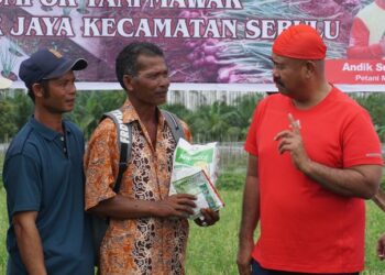Apresiasi Bupati Kukar kepada Petani Bawang, Ikut Panen dan Serahkan Bantuan Pupuk dan Bibit