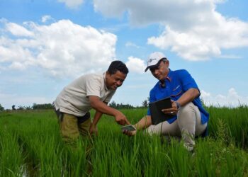 Masuki Musim Tanam Maret, Pupuk Kaltim Pastikan Stok Pupuk Aman
