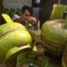 Kopdes Merah Putih Kini Bisa Salurkan LPG Subsidi, Pertamina Siapkan 300 Tabung per Bulan di Kalimantan Pertamina Pastikan Pasokan Elpiji 3 Kg di Samarinda Aman, Tambah Pasokan 10 Persen Stok Elpiji 3 Kg di Kaltim Ditambah 8 Ribu Tabung, Antisipasi Kelangkaan saat Ramadan